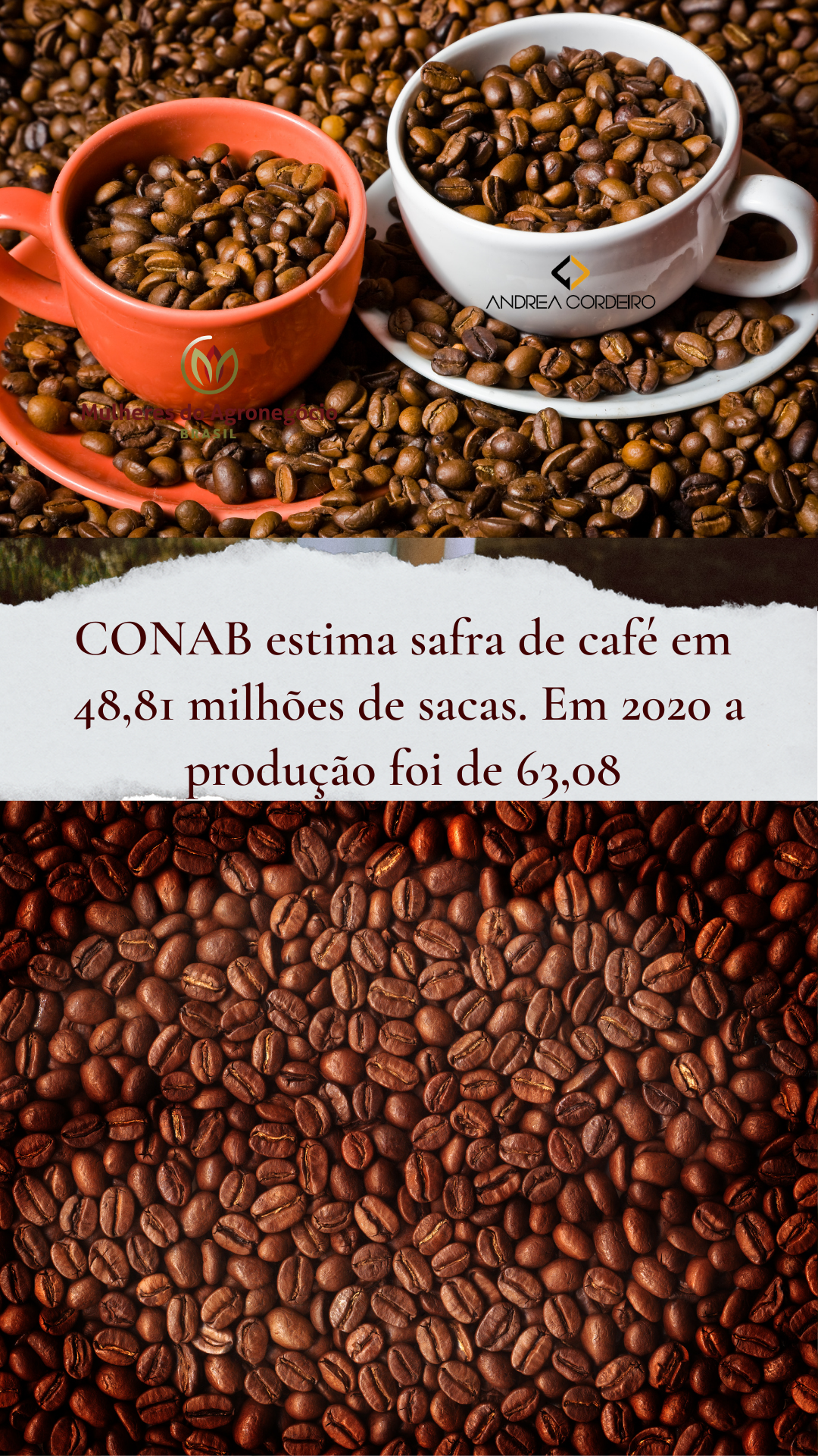 Estimativa Safra de Café por CONAB